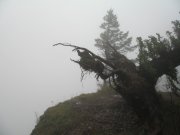 11.22.06 Cape Horn 008 